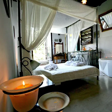 게스트하우스 My